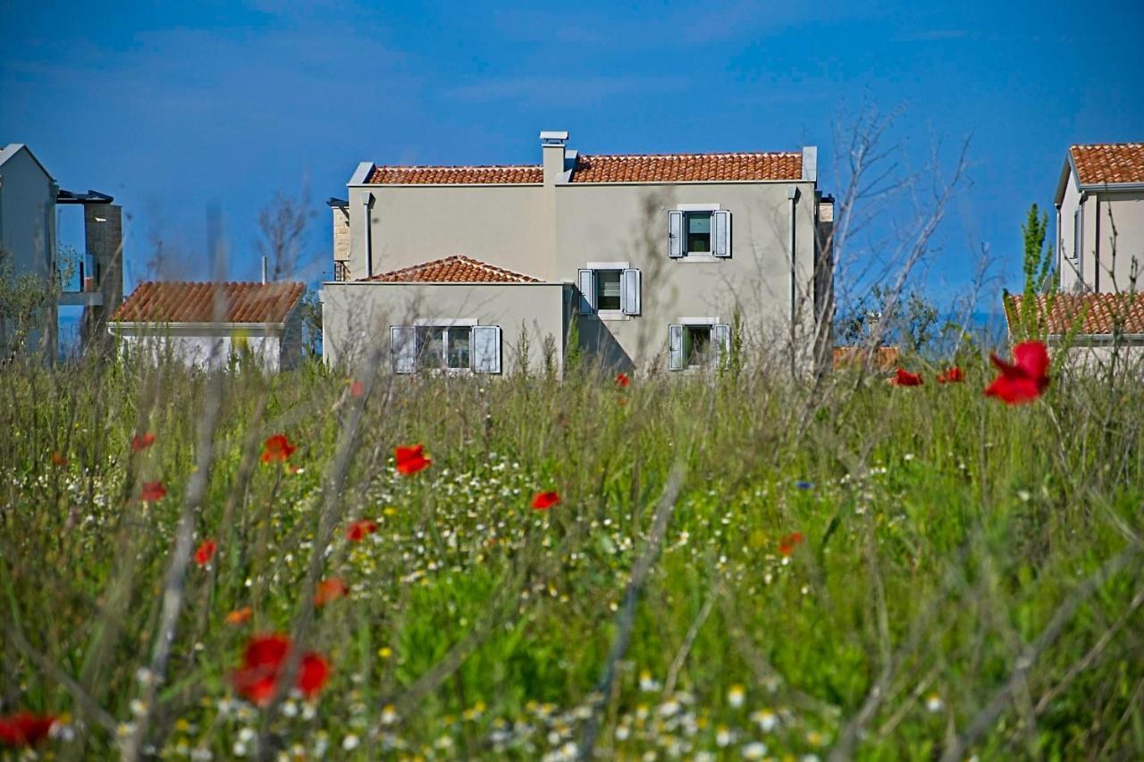 Villa Flamingo Kaštelir Exteriér fotografie